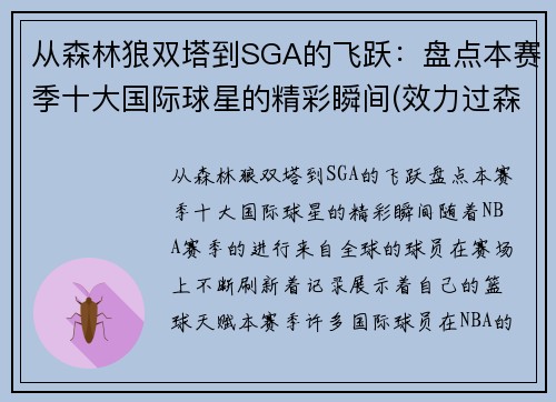 从森林狼双塔到SGA的飞跃：盘点本赛季十大国际球星的精彩瞬间(效力过森林狼的球星)