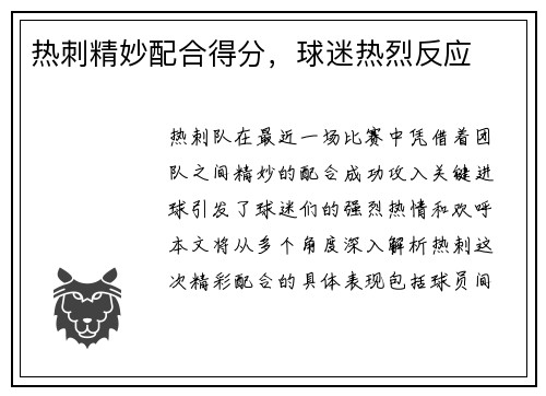 热刺精妙配合得分，球迷热烈反应