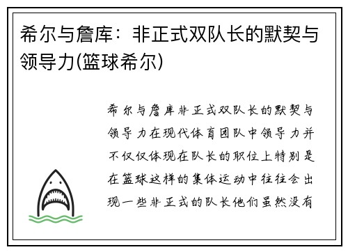 希尔与詹库：非正式双队长的默契与领导力(篮球希尔)