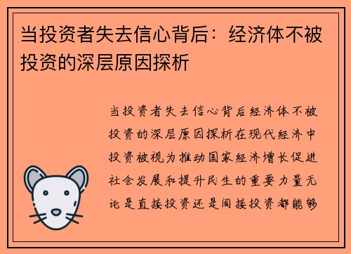 当投资者失去信心背后：经济体不被投资的深层原因探析