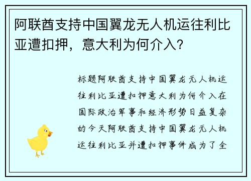 阿联酋支持中国翼龙无人机运往利比亚遭扣押，意大利为何介入？
